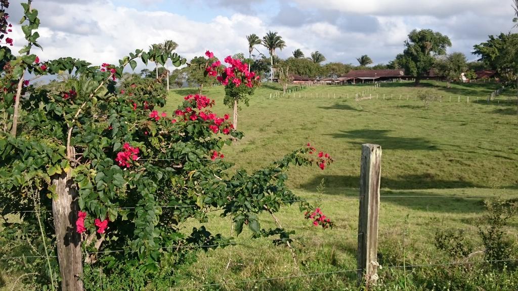 Hotel Fazenda Agua Branca Bonito  Eksteriør bilde
