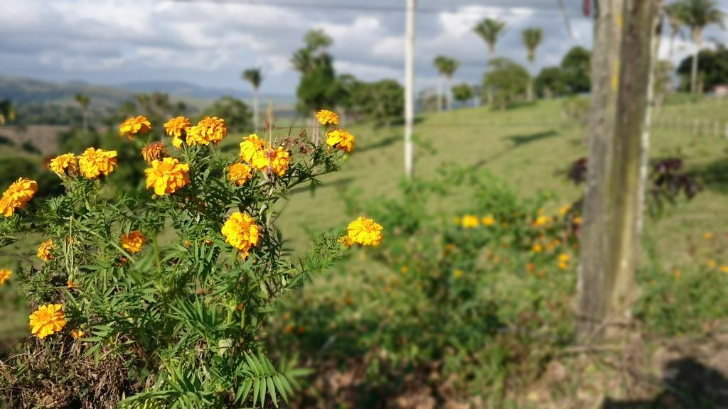 Hotel Fazenda Agua Branca Bonito  Eksteriør bilde